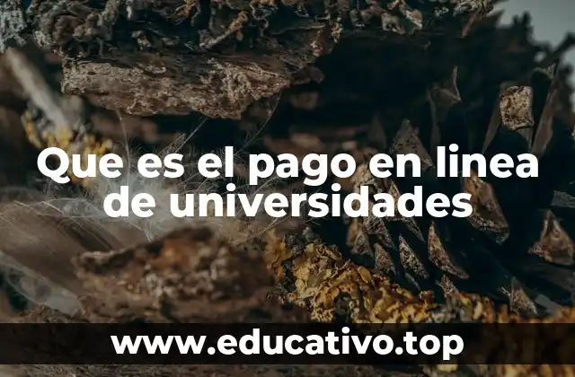 Que es el pago en linea de universidades