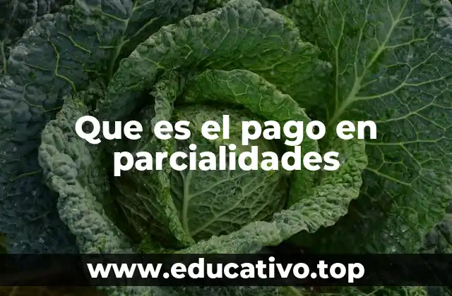 Que es el pago en parcialidades