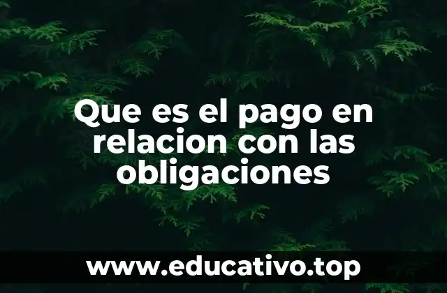 Que es el pago en relacion con las obligaciones