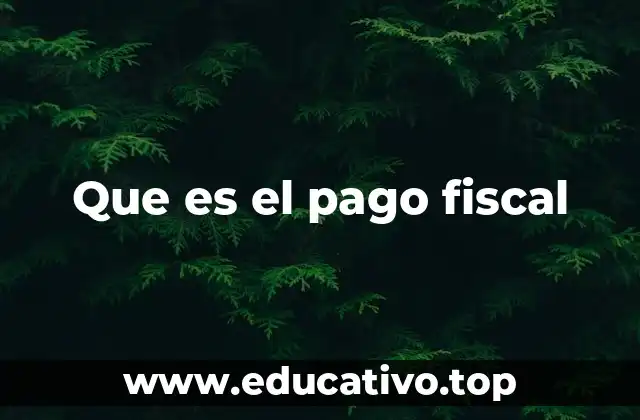 Que es el pago fiscal