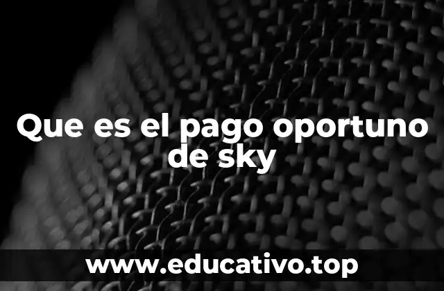 Que es el pago oportuno de sky