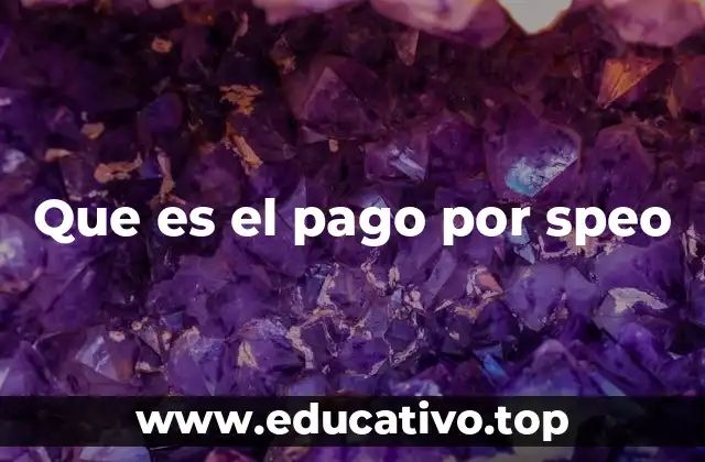 Que es el pago por speo