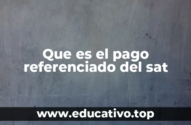 Que es el pago referenciado del sat