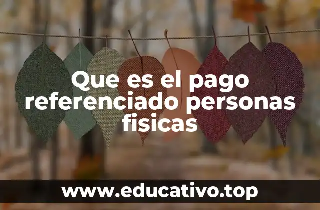 Que es el pago referenciado personas fisicas
