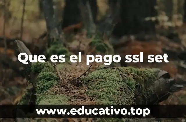 Que es el pago ssl set