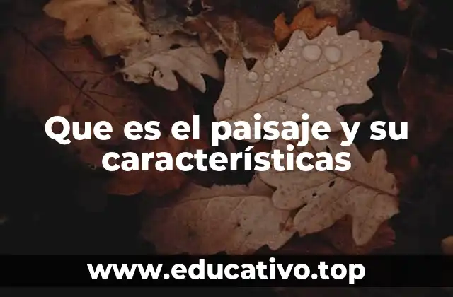 La relación entre el entorno y la percepción humana
