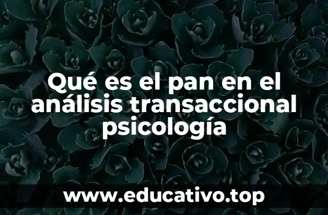 Qué es el pan en el análisis transaccional psicología