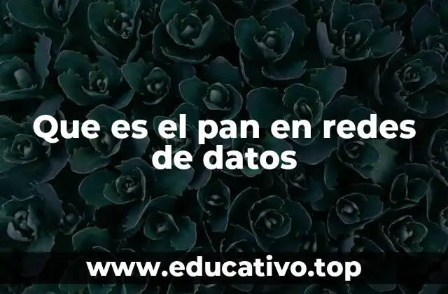 Que es el pan en redes de datos