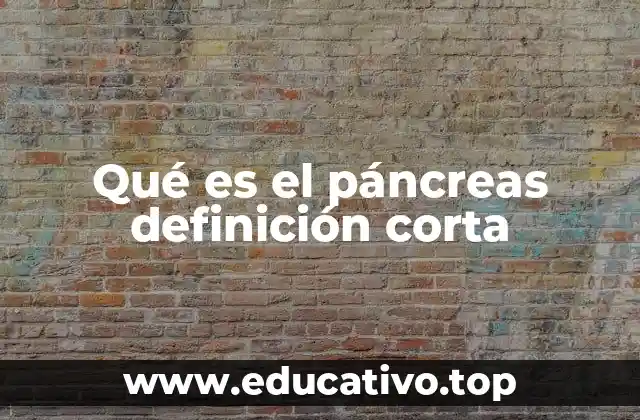 Qué es el páncreas definición corta