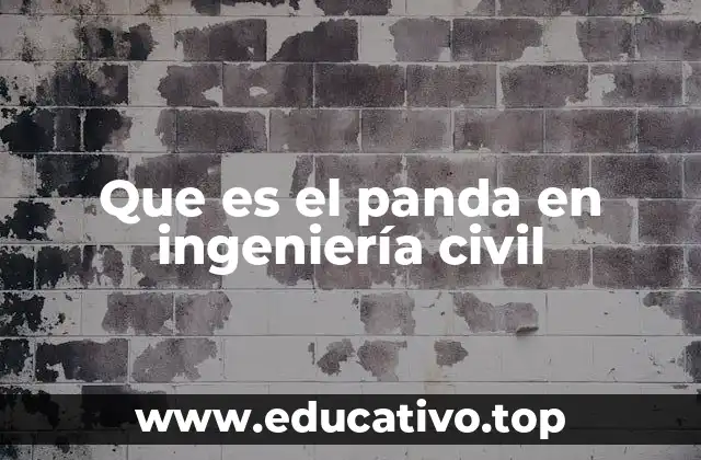 Que es el panda en ingeniería civil