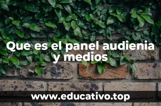 Que es el panel audienia y medios