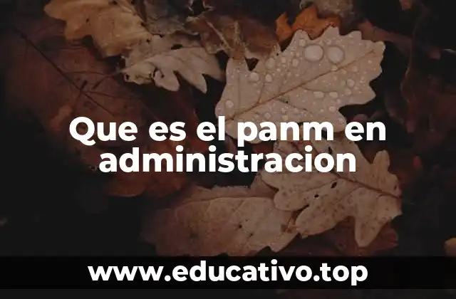 Que es el panm en administracion