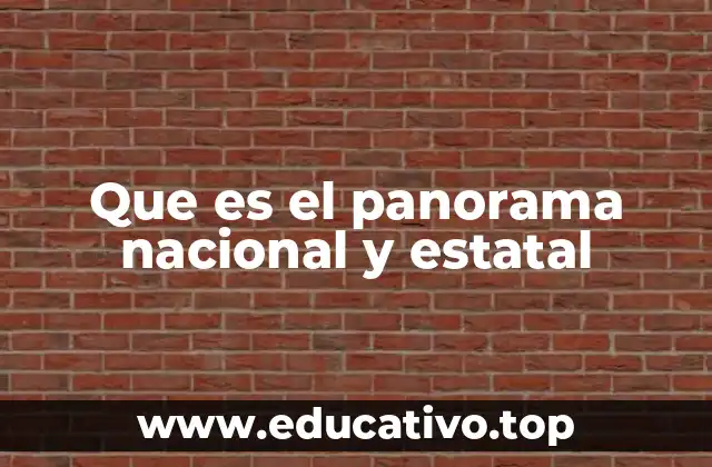 Que es el panorama nacional y estatal