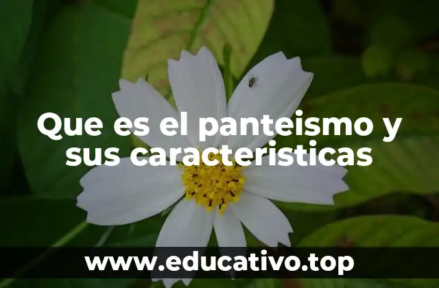 Que es el panteismo y sus caracteristicas