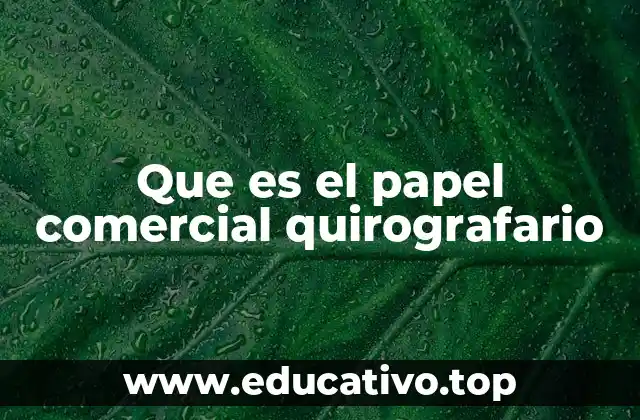 Que es el papel comercial quirografario