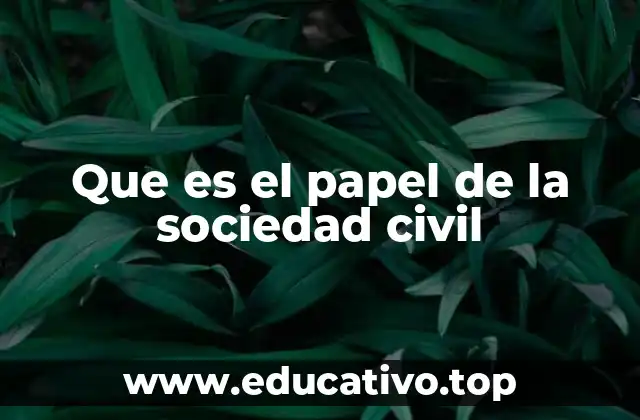 Que es el papel de la sociedad civil