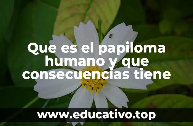 Que es el papiloma humano y que consecuencias tiene
