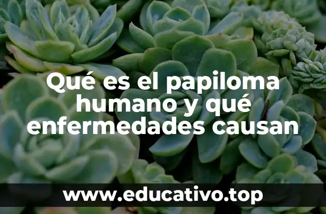 Qué es el papiloma humano y qué enfermedades causan
