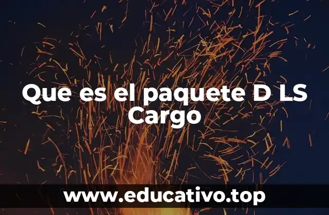 Que es el paquete D LS Cargo
