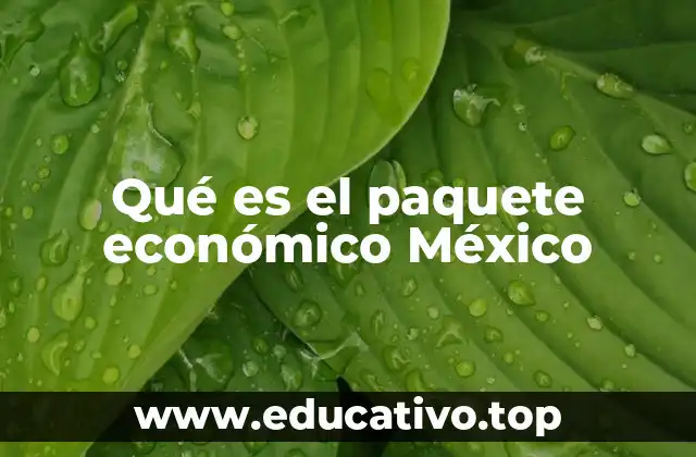 Qué es el paquete económico México