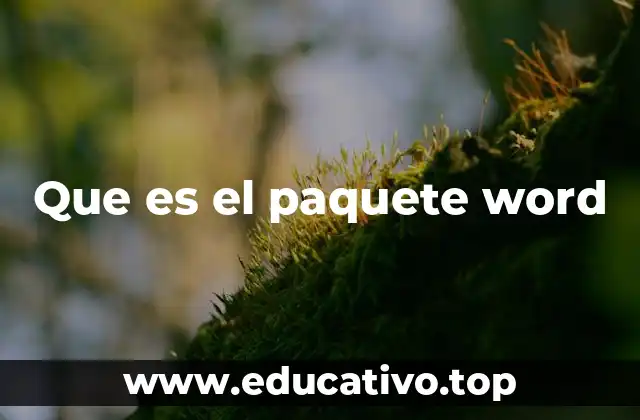 La importancia del procesador de textos en la vida cotidiana