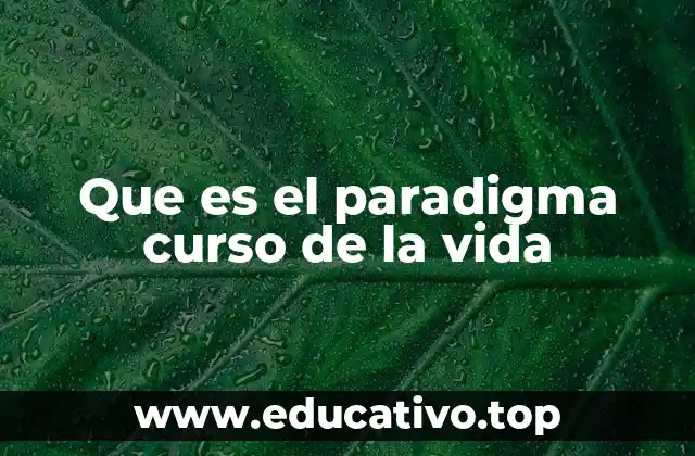 Que es el paradigma curso de la vida