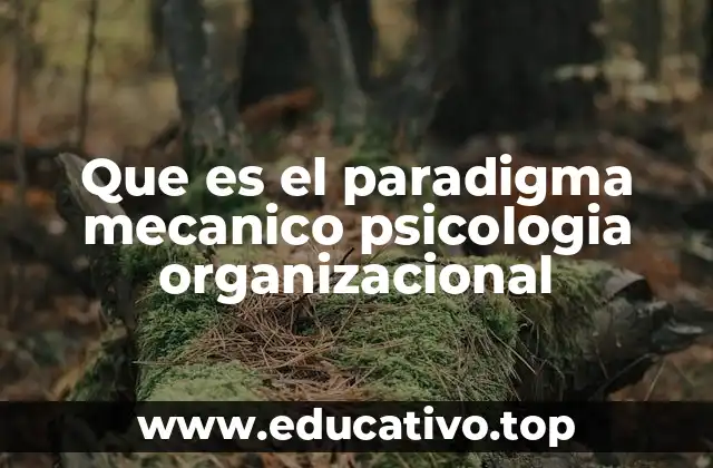 Que es el paradigma mecanico psicologia organizacional