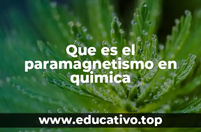 Que es el paramagnetismo en quimica