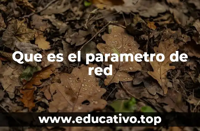 Que es el parametro de red