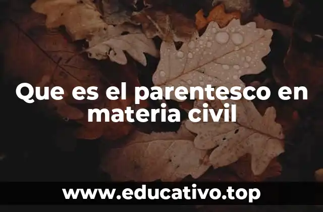 Que es el parentesco en materia civil