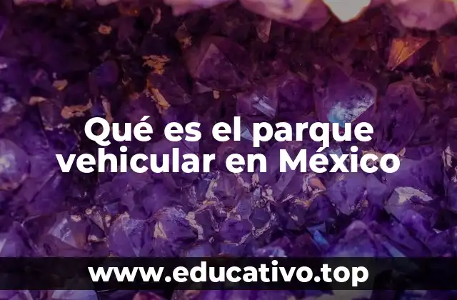 Qué es el parque vehicular en México