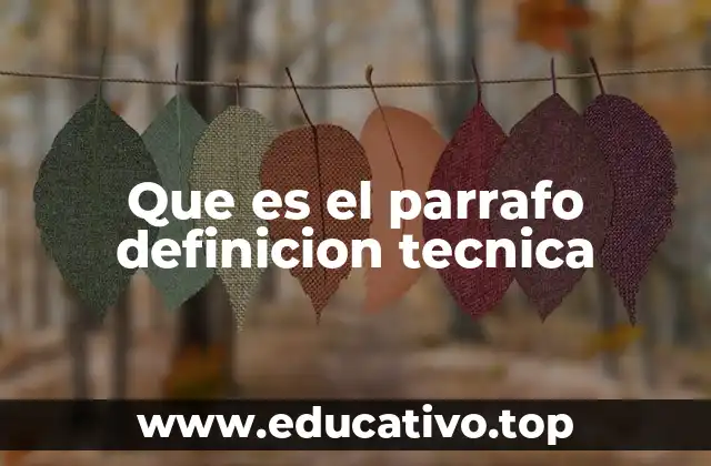 Que es el parrafo definicion tecnica