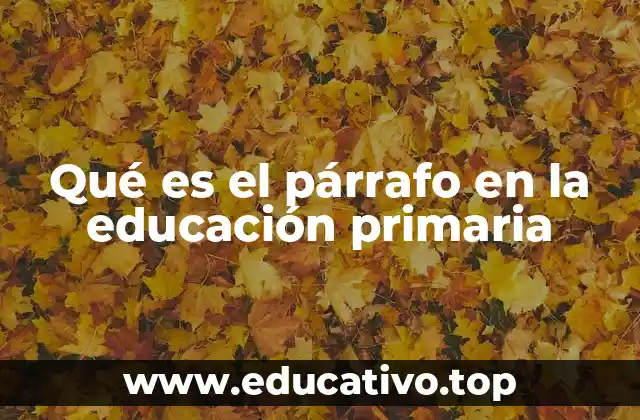 Qué es el párrafo en la educación primaria