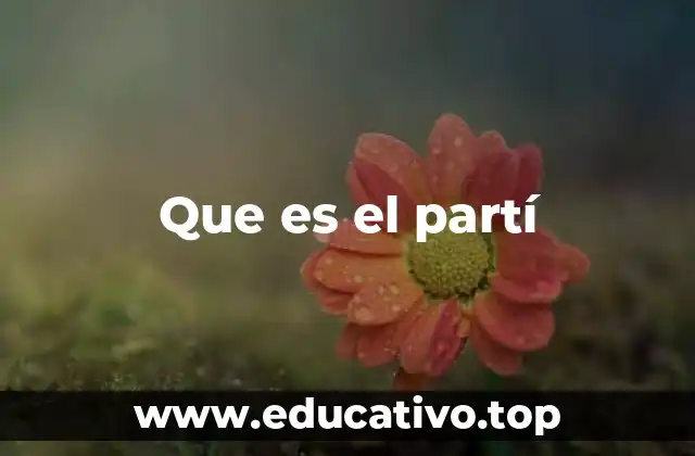 Que es el partí