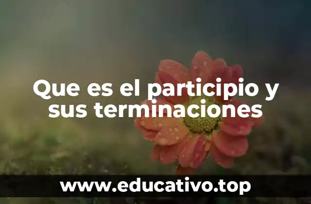 Que es el participio y sus terminaciones