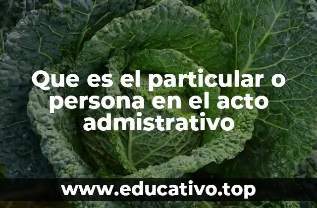 Que es el particular o persona en el acto admistrativo