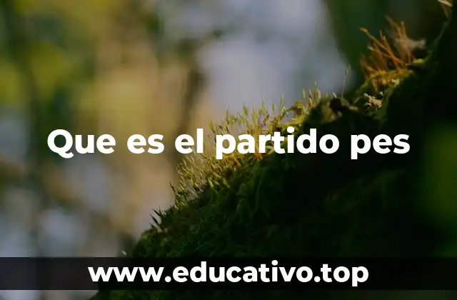 Que es el partido pes