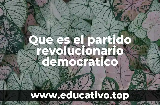 Que es el partido revolucionario democratico