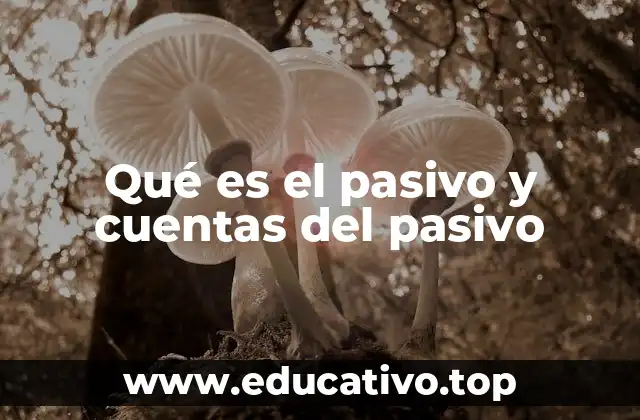 Qué es el pasivo y cuentas del pasivo