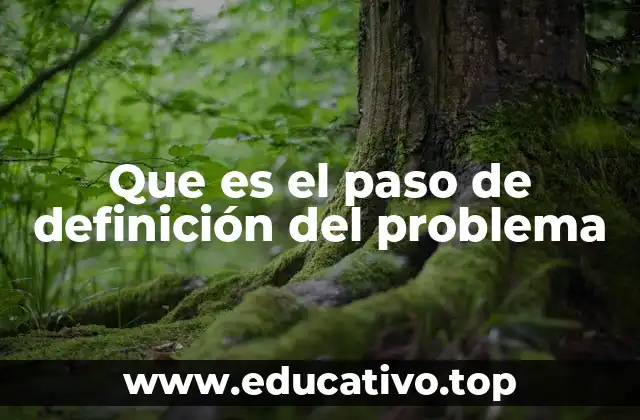 Que es el paso de definición del problema