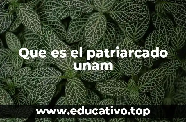 Que es el patriarcado unam