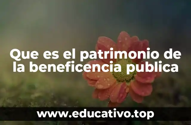 Que es el patrimonio de la beneficencia publica