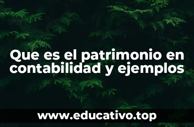 Que es el patrimonio en contabilidad y ejemplos