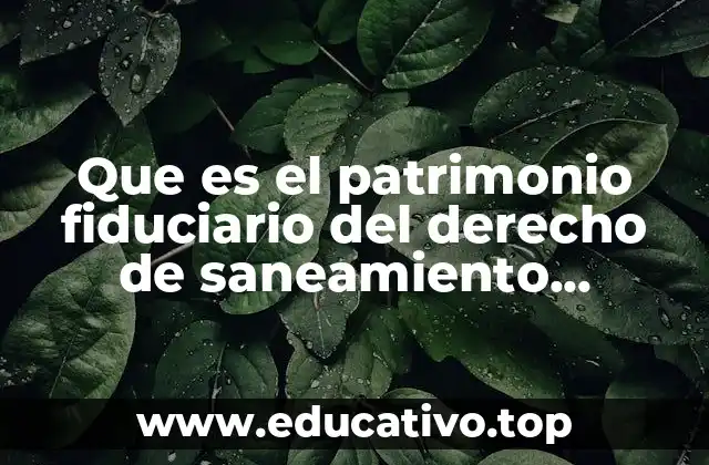 Que es el patrimonio fiduciario del derecho de saneamiento ambiental