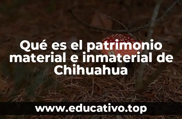 Qué es el patrimonio material e inmaterial de Chihuahua