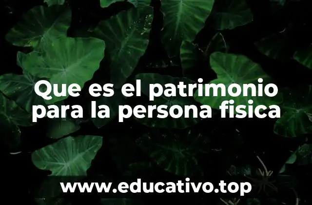 Que es el patrimonio para la persona fisica