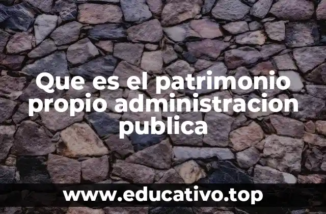 Que es el patrimonio propio administracion publica