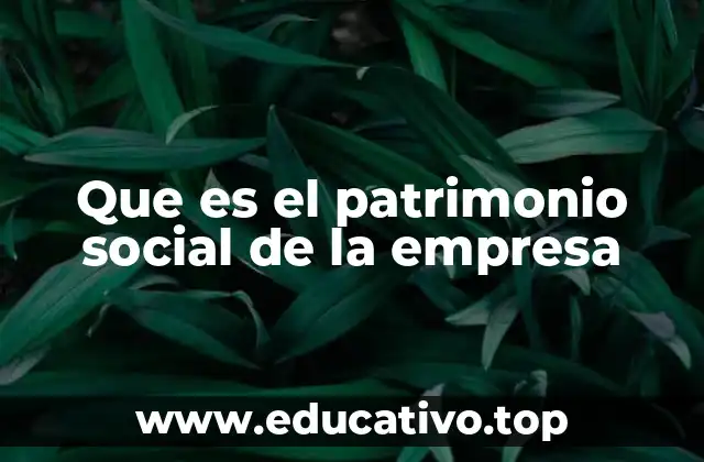 Que es el patrimonio social de la empresa