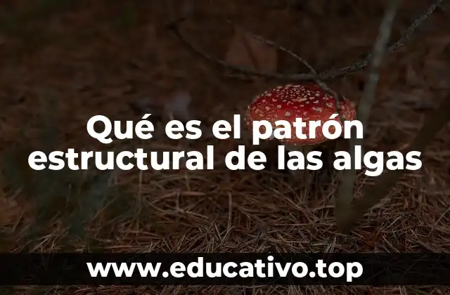 Qué es el patrón estructural de las algas