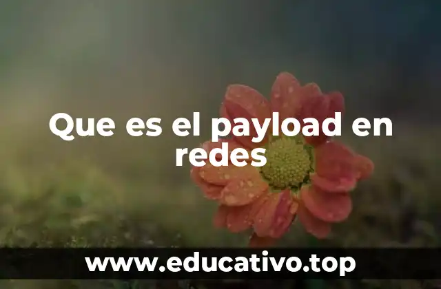 Que es el payload en redes